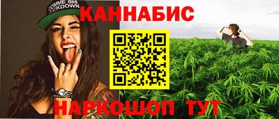 индика Пушкино