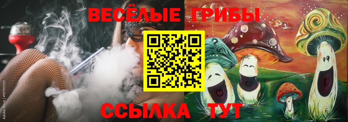 Подольск  Галлюциногенные грибы Cubensis  Вход с VPN 